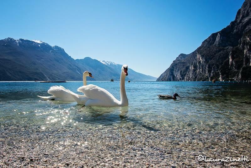 Villa Linfano Torbole Sul Garda Exterior foto